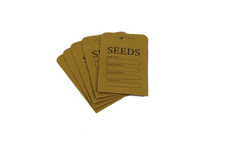 seed storage envelopes from Burgon and Ball