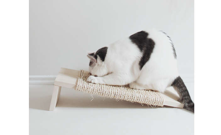 DIY cat scratcher by almost makes perfect.