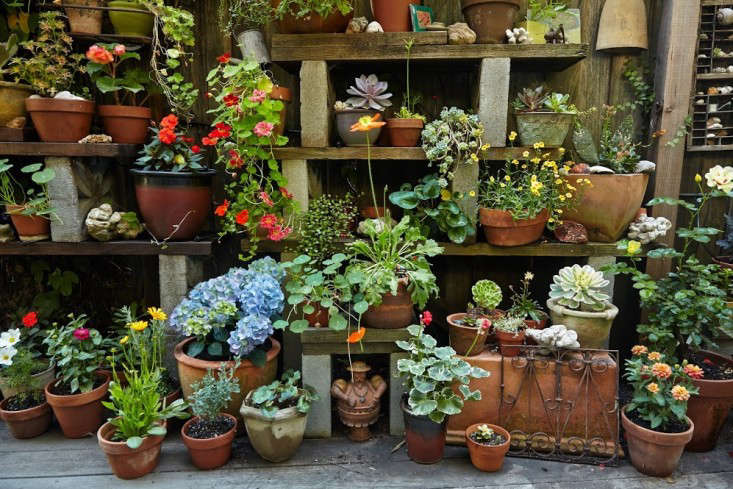 concrete-block-garden-shelves;gardenista