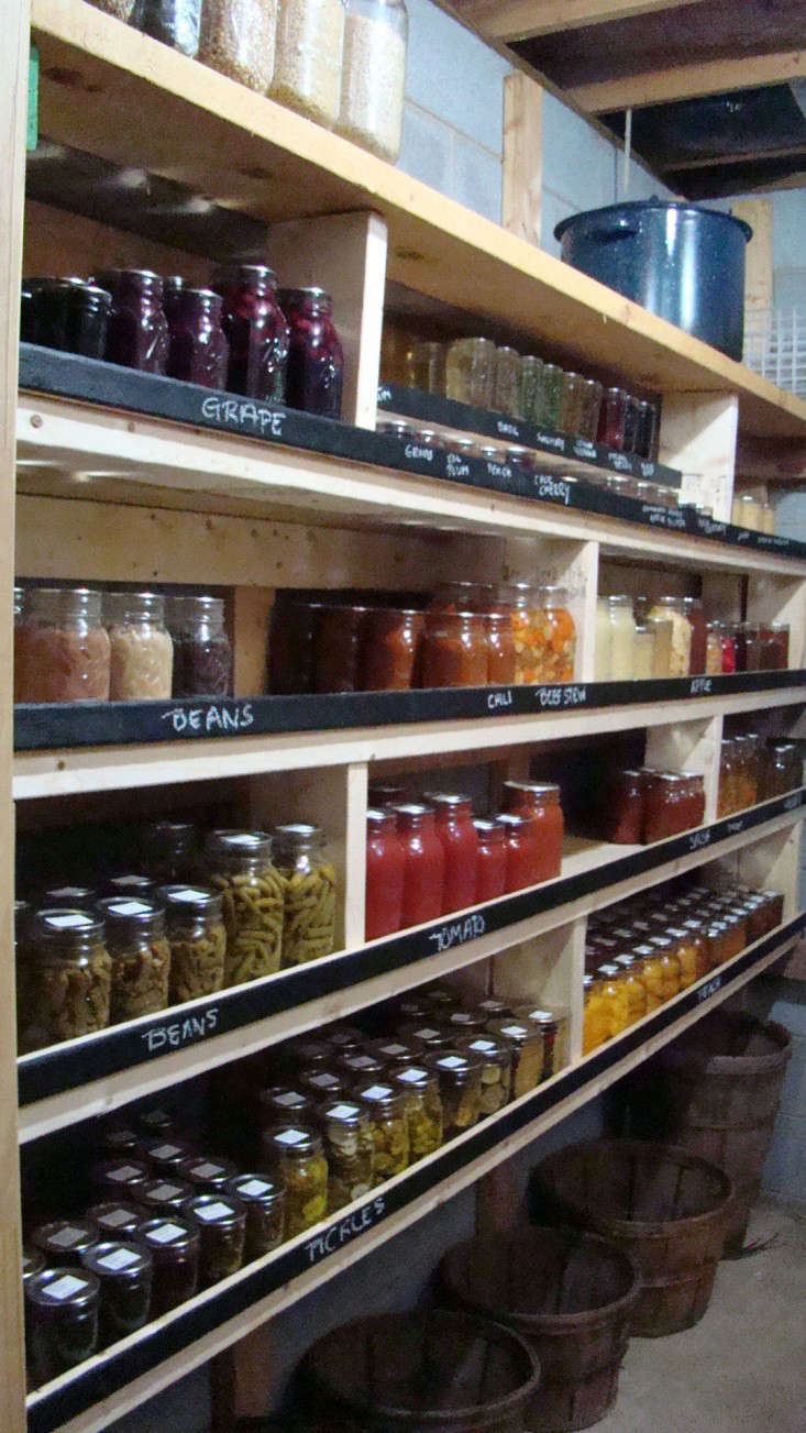 modern root cellar