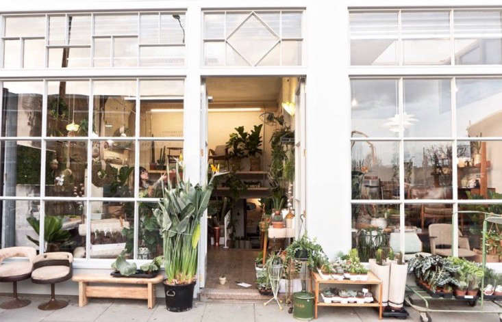 conservatory-archives-london-houseplant-house-plants-shop-gardenista