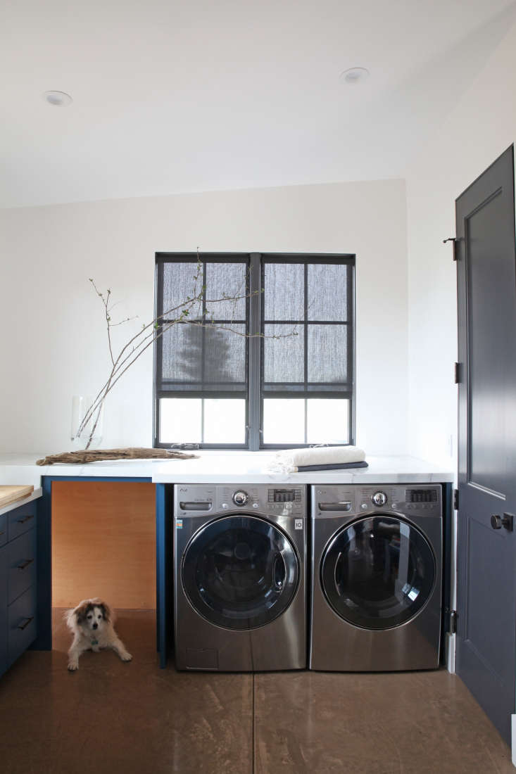 laundry-room-concrete-floors-dog-gray-roller-blinds