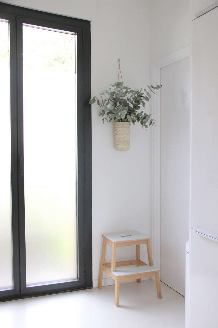 Eucalyptus in hanging straw vase and glass doors in designer Ilaria Fatone's ground-floor apartment kitchen