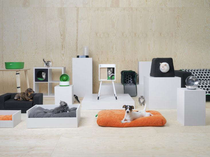 An overview of Ikea's ew Lurvig collection for cats and dogs.