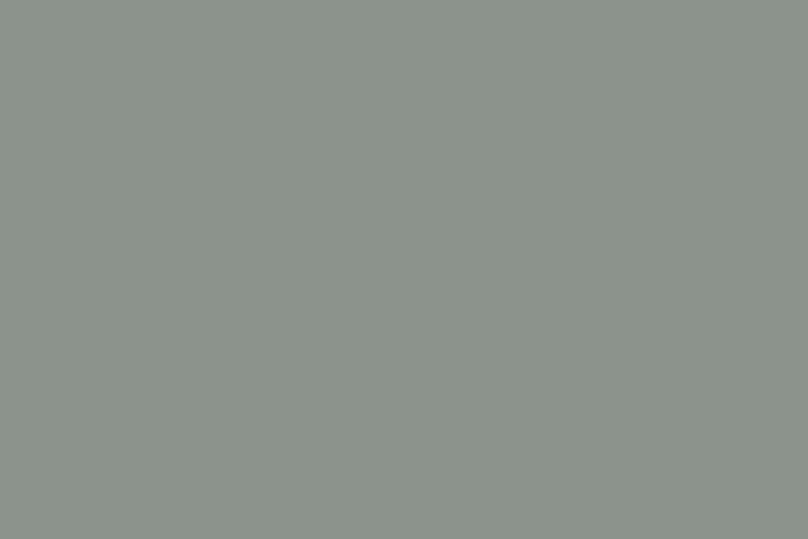 Benjamin Moore Stonybrook Paint Swatch